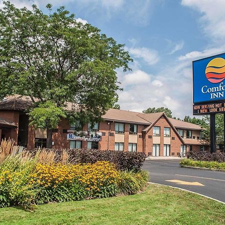 Comfort Inn Simcoe Exteriér fotografie