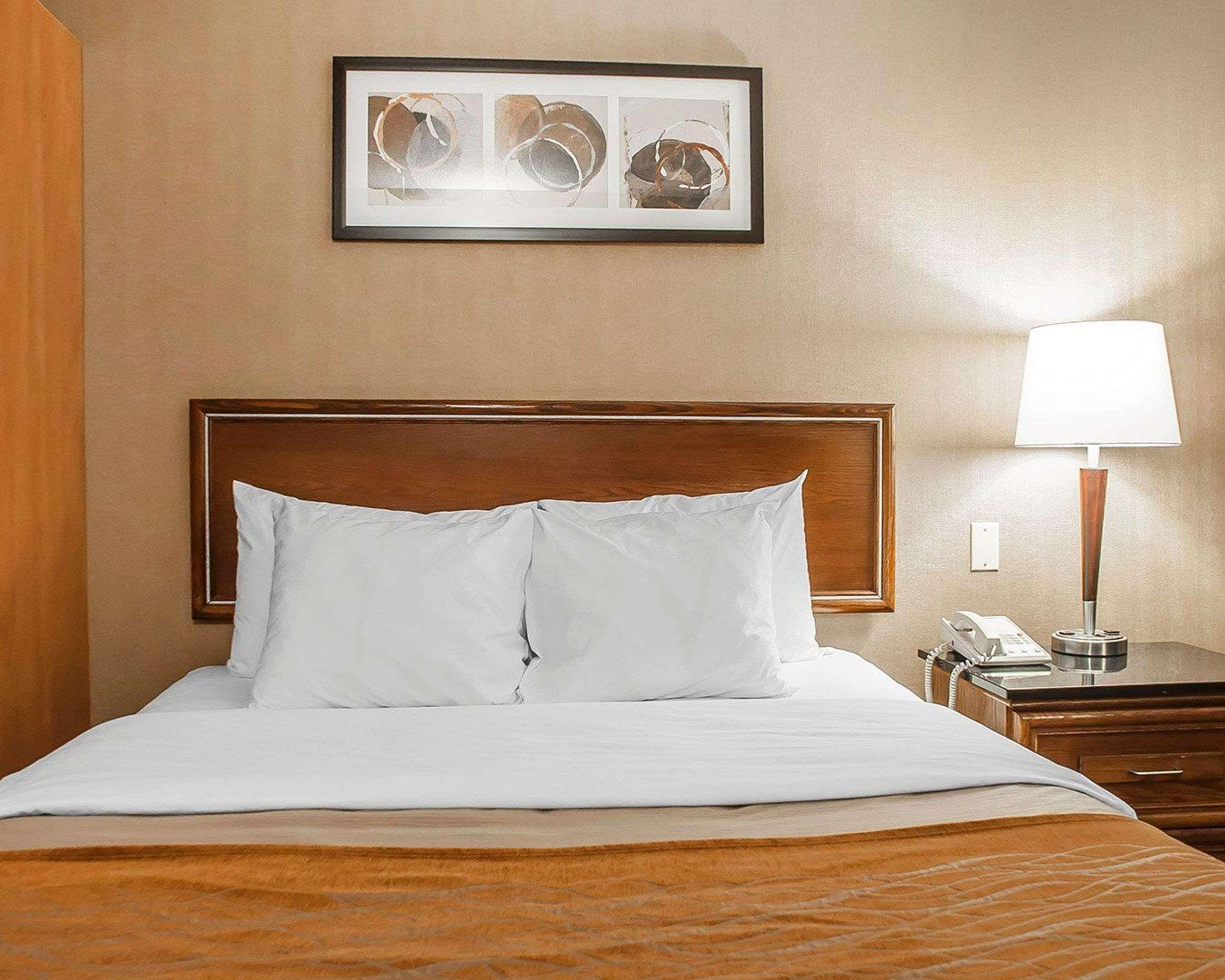 Comfort Inn Simcoe Exteriér fotografie