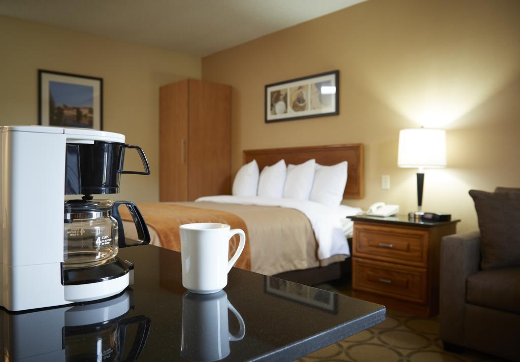 Comfort Inn Simcoe Exteriér fotografie