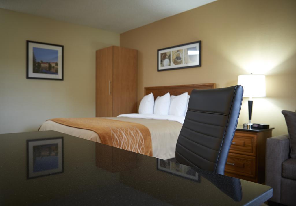 Comfort Inn Simcoe Exteriér fotografie