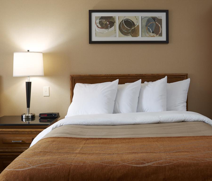 Comfort Inn Simcoe Exteriér fotografie