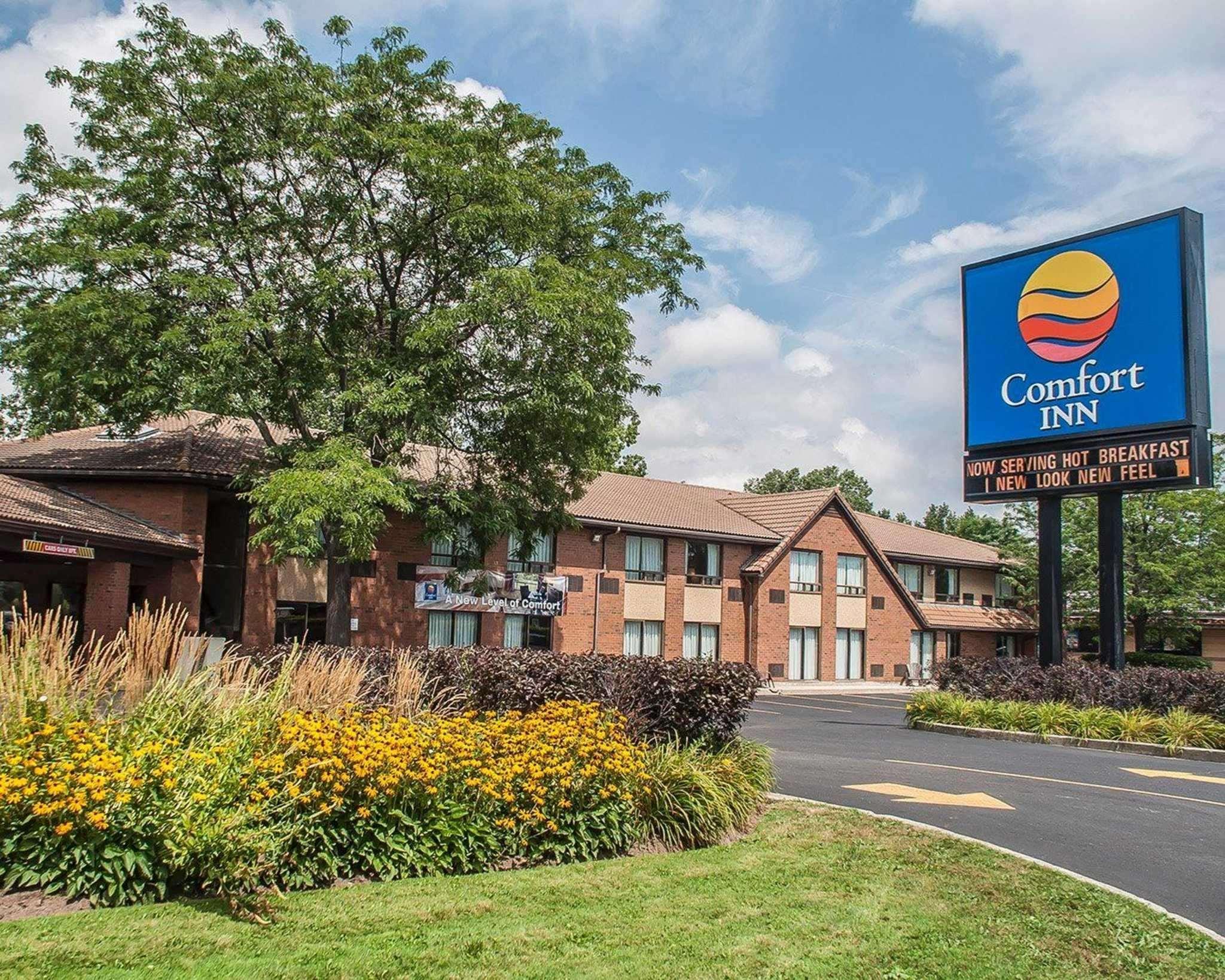 Comfort Inn Simcoe Exteriér fotografie