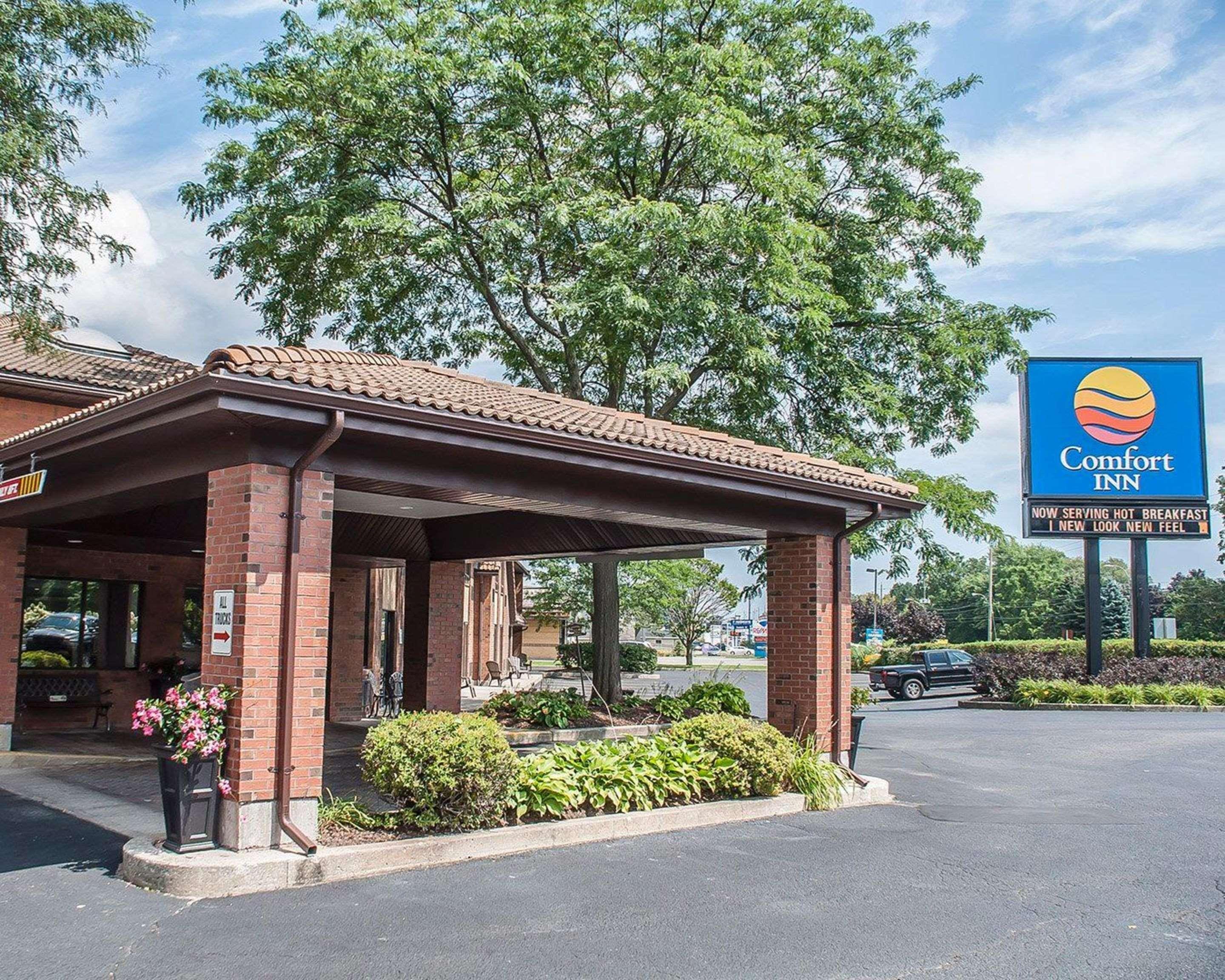 Comfort Inn Simcoe Exteriér fotografie