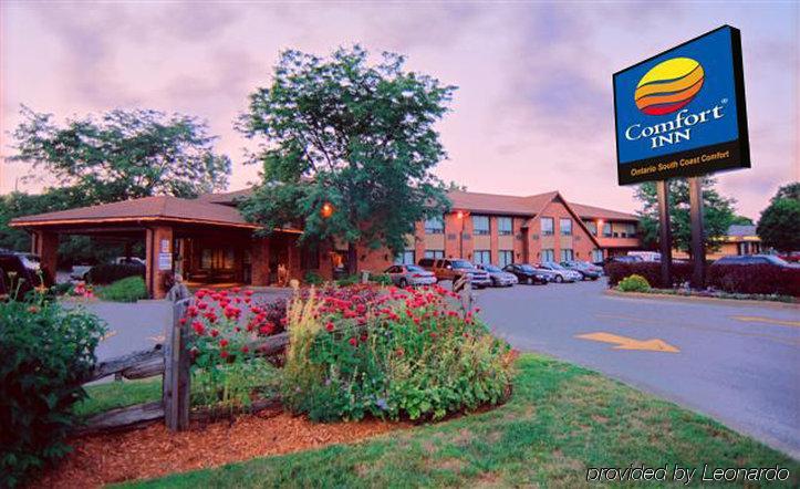 Comfort Inn Simcoe Exteriér fotografie