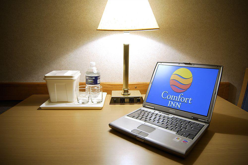 Comfort Inn Simcoe Exteriér fotografie